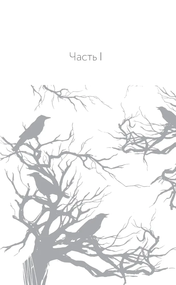 The Tale of Vlad the Crow