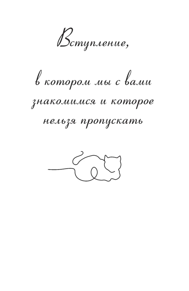 The Day of the Bear's Bath. With great love from a small village about heartfelt gatherings, scheming cats, and a place where summer never ends
