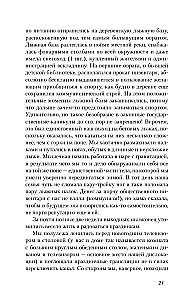 The Day of the Bear's Bath. With great love from a small village about heartfelt gatherings, scheming cats, and a place where summer never ends