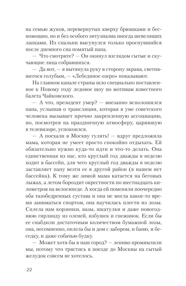 The Day of the Bear's Bath. With great love from a small village about heartfelt gatherings, scheming cats, and a place where summer never ends