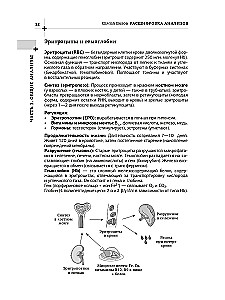 Dekodowanie analiz. Diagnostyka laboratoryjna