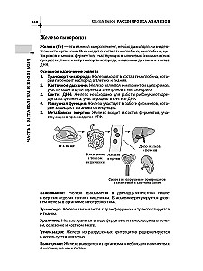 Dekodowanie analiz. Diagnostyka laboratoryjna
