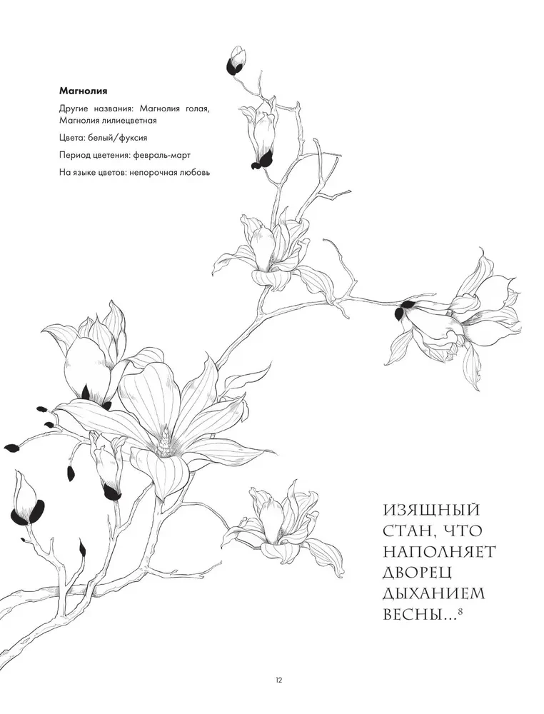 Sztuka linii. Uczymy się rysować w stylu chińskim: od szkicu do gotowej ilustracji