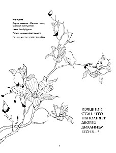 Sztuka linii. Uczymy się rysować w stylu chińskim: od szkicu do gotowej ilustracji