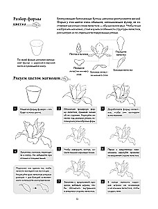 Sztuka linii. Uczymy się rysować w stylu chińskim: od szkicu do gotowej ilustracji