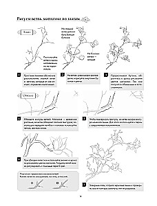 Sztuka linii. Uczymy się rysować w stylu chińskim: od szkicu do gotowej ilustracji