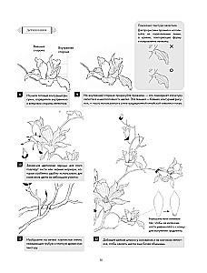Sztuka linii. Uczymy się rysować w stylu chińskim: od szkicu do gotowej ilustracji
