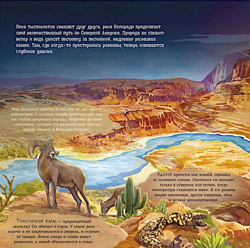 Erstaunliche Tiere. Was verbirgt die Natur?