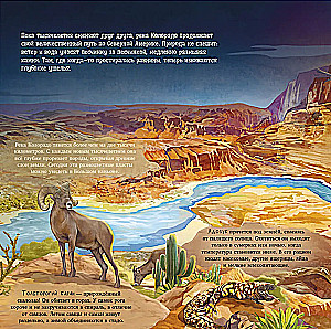 Erstaunliche Tiere. Was verbirgt die Natur?