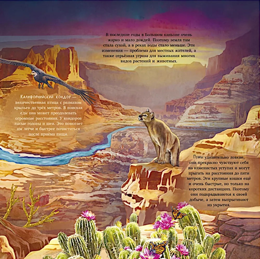 Erstaunliche Tiere. Was verbirgt die Natur?