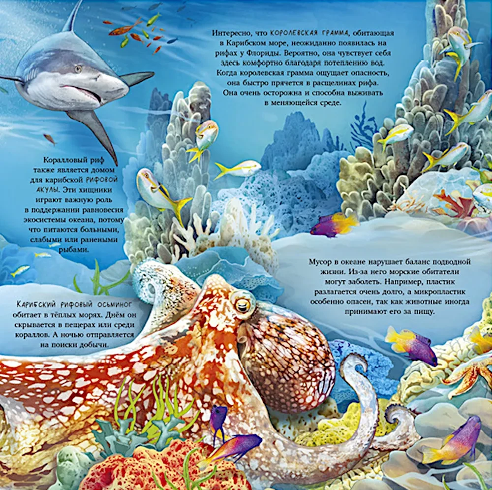 Erstaunliche Tiere. Was verbirgt die Natur?