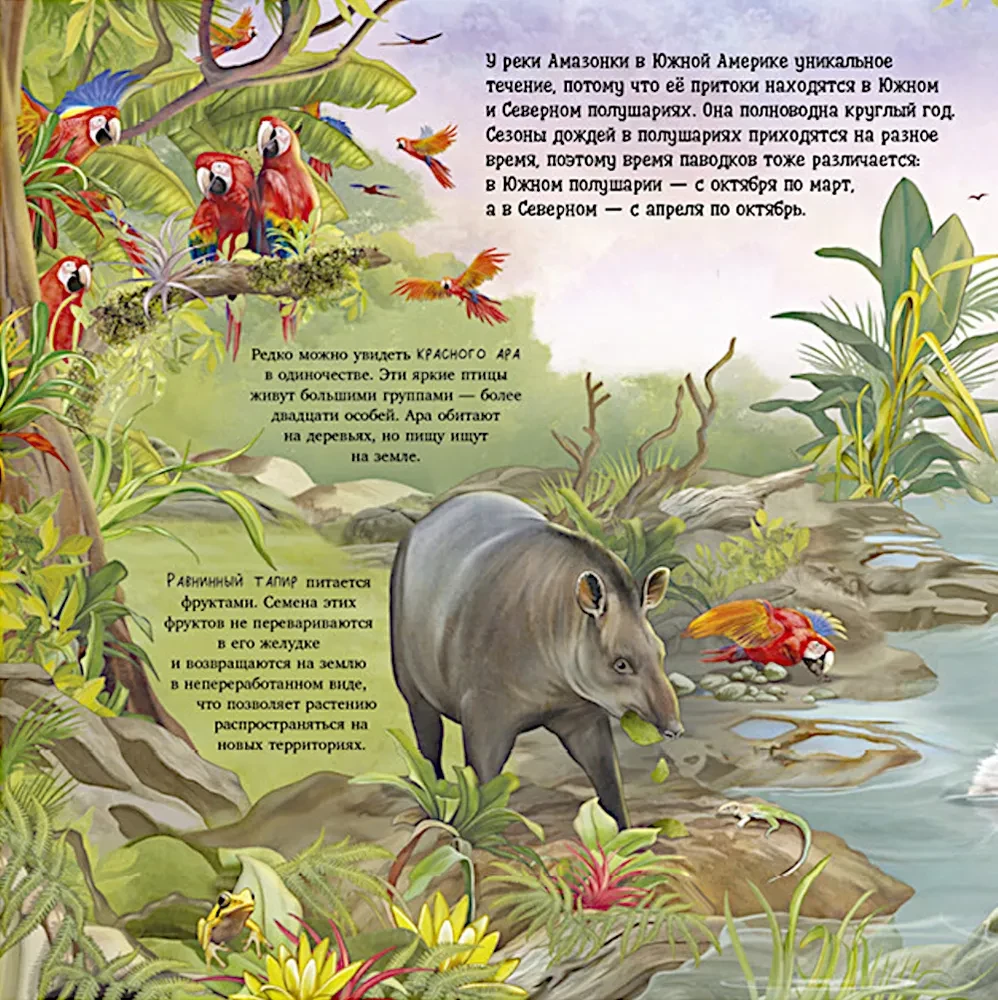 Erstaunliche Tiere. Was verbirgt die Natur?