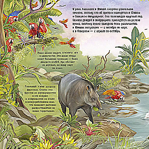 Erstaunliche Tiere. Was verbirgt die Natur?