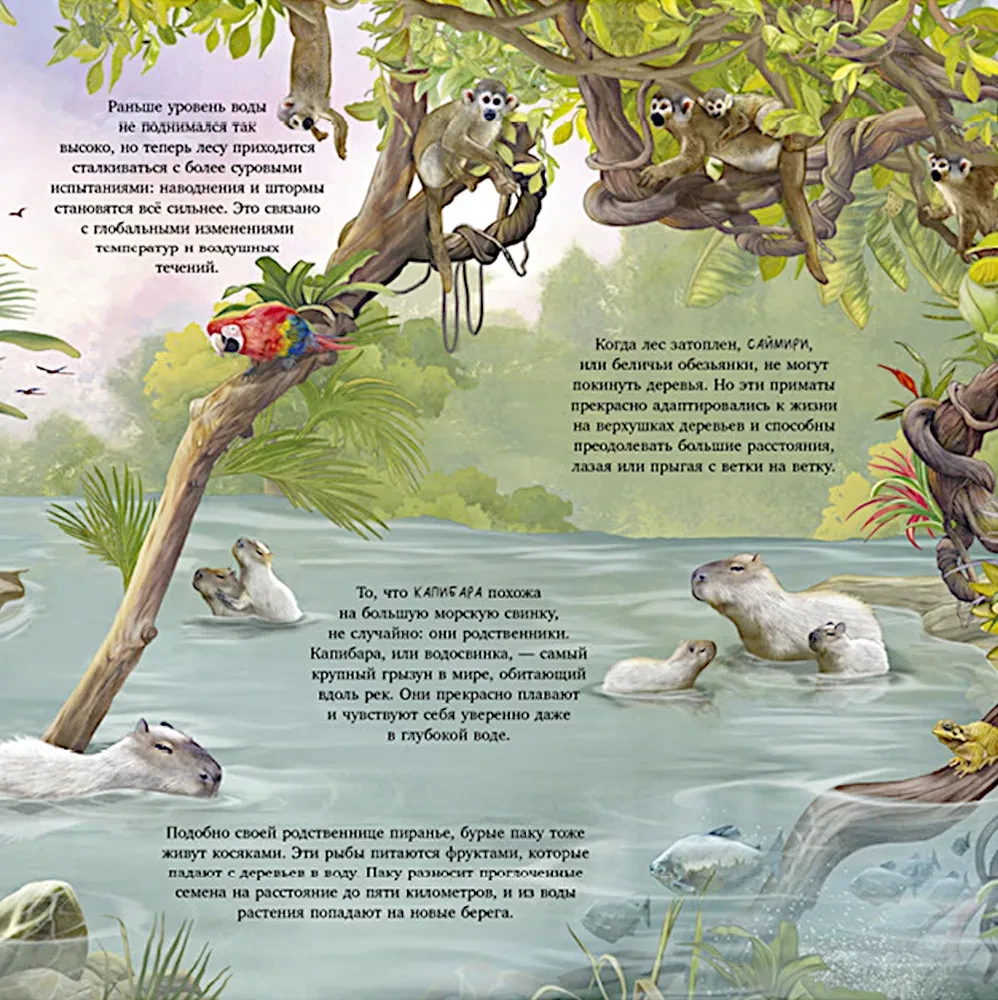 Erstaunliche Tiere. Was verbirgt die Natur?