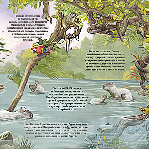 Erstaunliche Tiere. Was verbirgt die Natur?