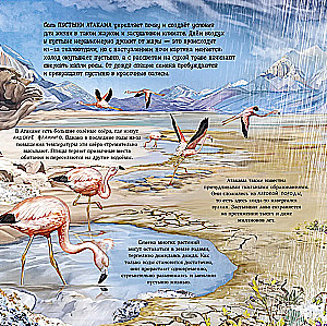 Erstaunliche Tiere. Was verbirgt die Natur?