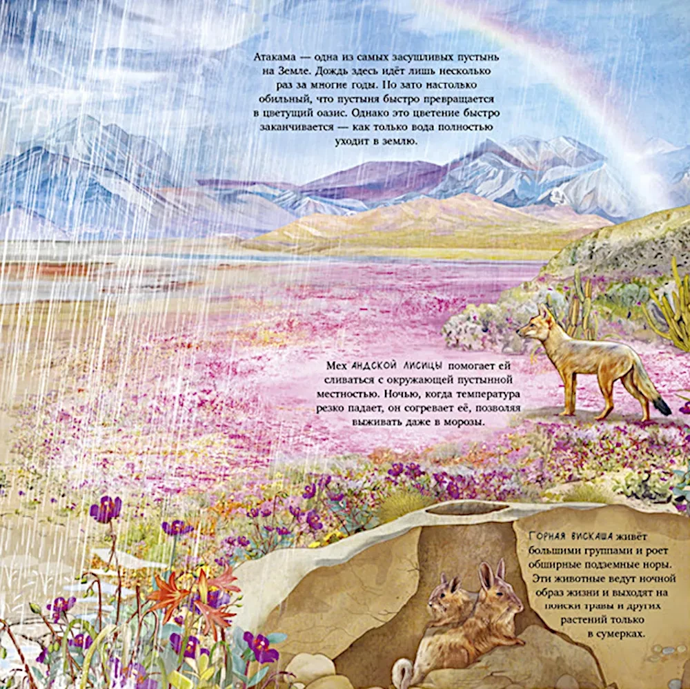 Erstaunliche Tiere. Was verbirgt die Natur?