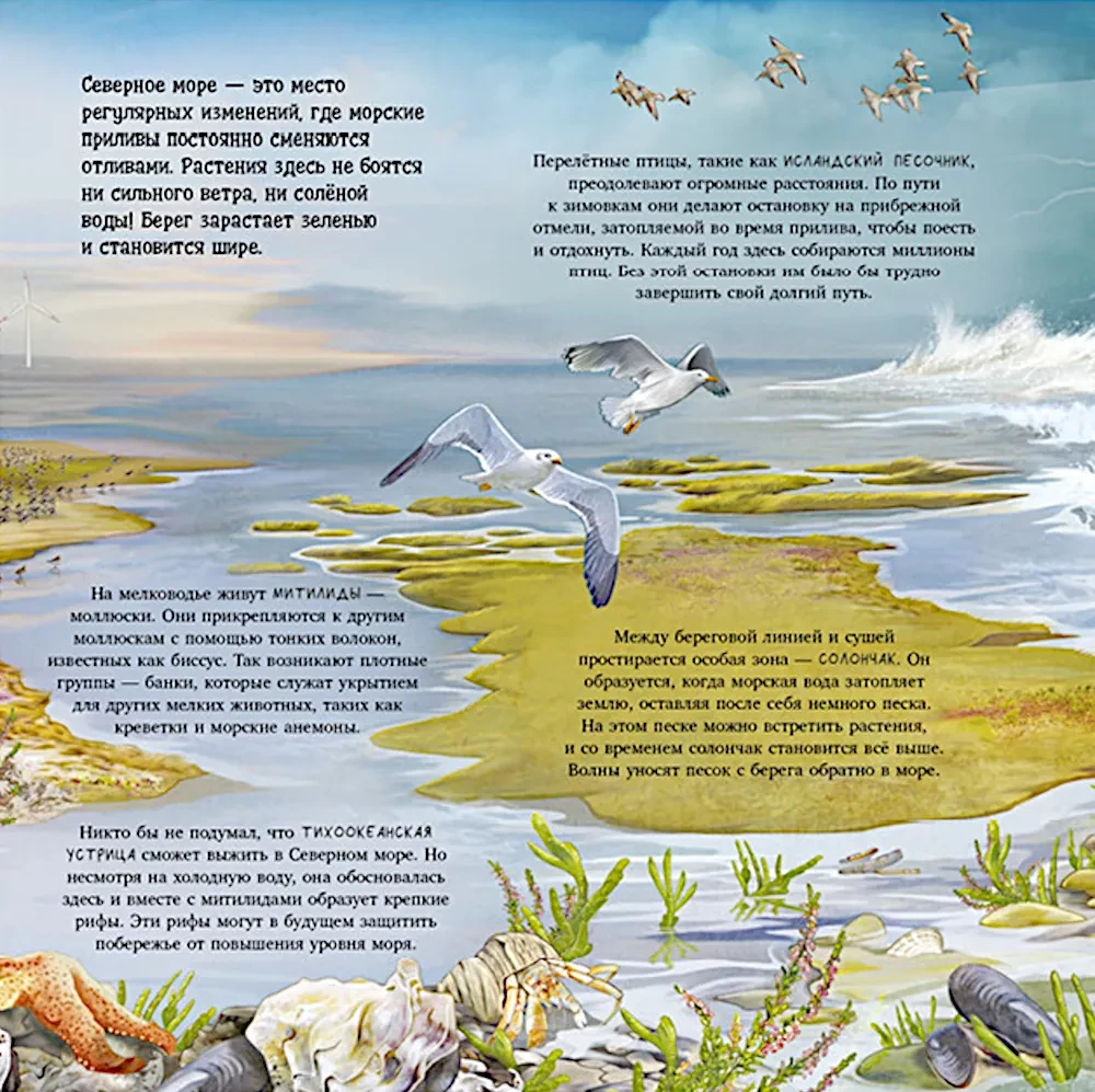 Erstaunliche Tiere. Was verbirgt die Natur?