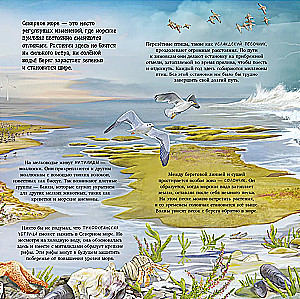 Erstaunliche Tiere. Was verbirgt die Natur?