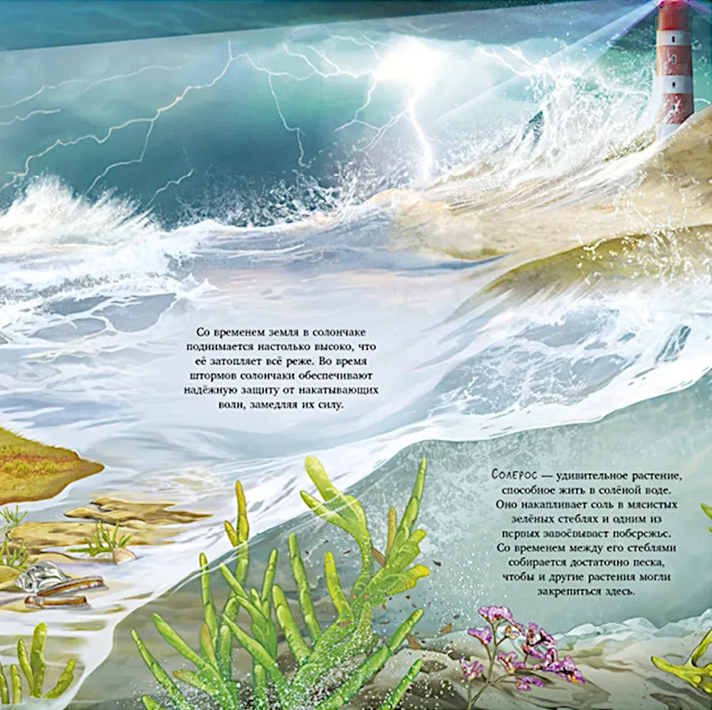 Erstaunliche Tiere. Was verbirgt die Natur?