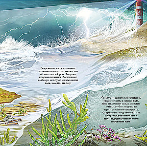 Erstaunliche Tiere. Was verbirgt die Natur?