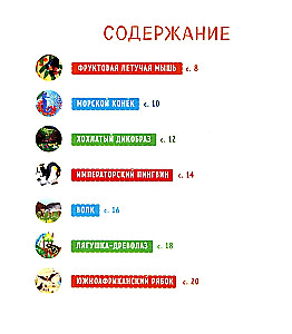 Zadziwiające zwierzęta. Mój tata to superbohater!