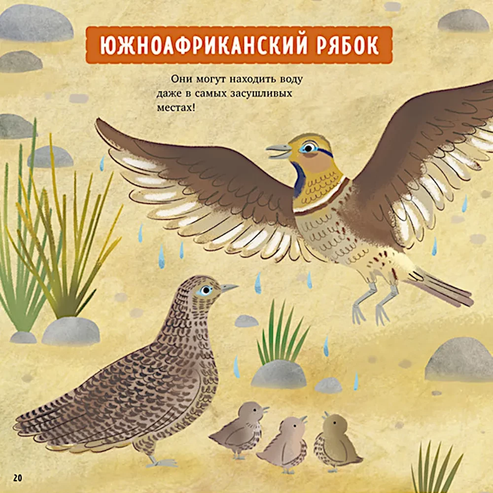 Zadziwiające zwierzęta. Mój tata to superbohater!