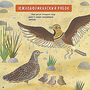 Zadziwiające zwierzęta. Mój tata to superbohater!