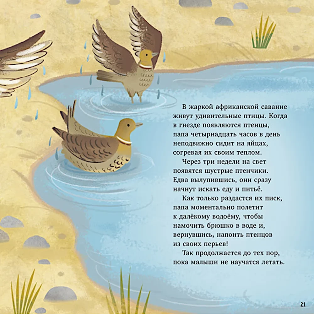 Zadziwiające zwierzęta. Mój tata to superbohater!