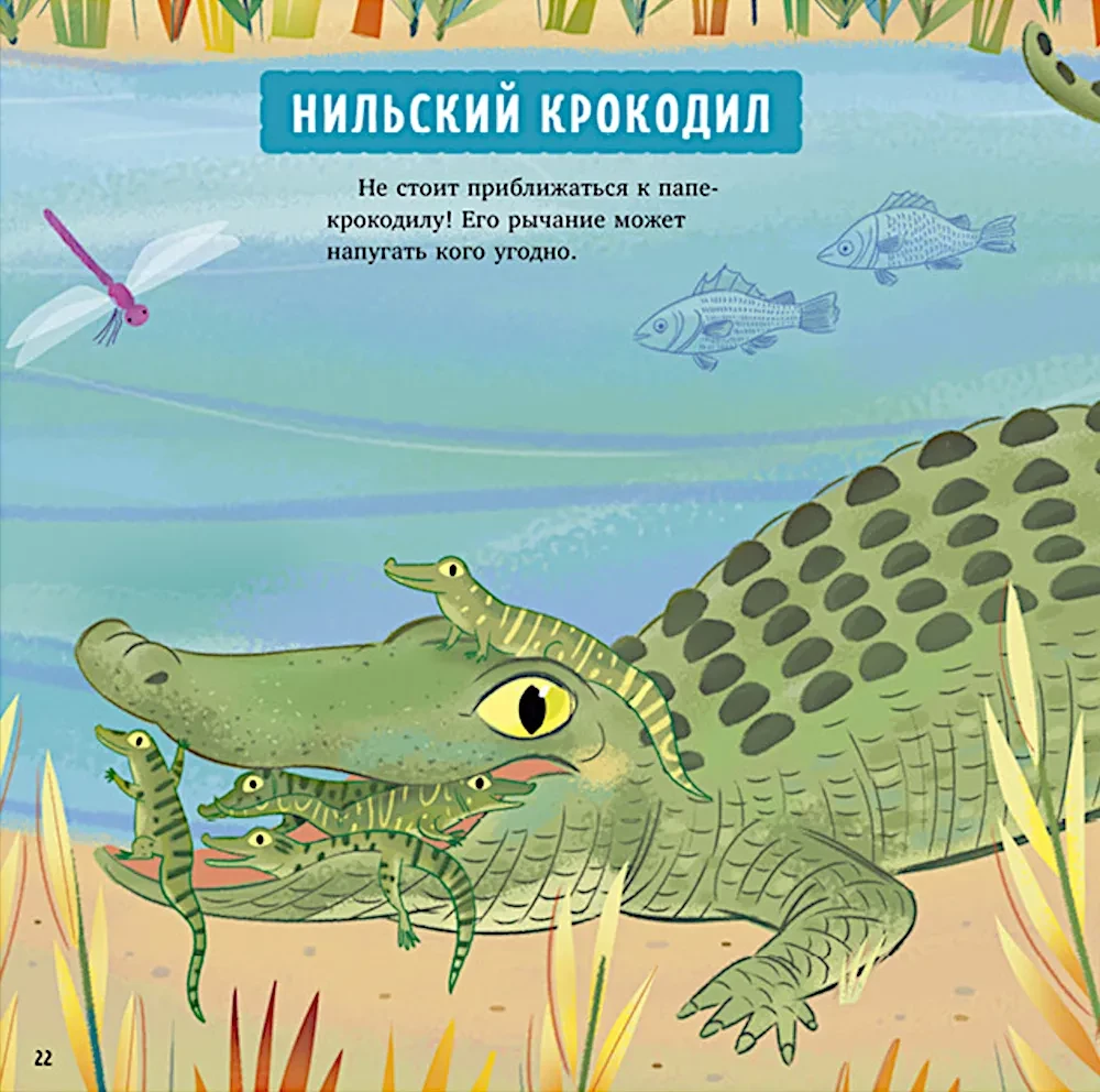 Zadziwiające zwierzęta. Mój tata to superbohater!