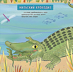 Zadziwiające zwierzęta. Mój tata to superbohater!