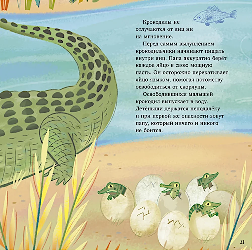 Zadziwiające zwierzęta. Mój tata to superbohater!