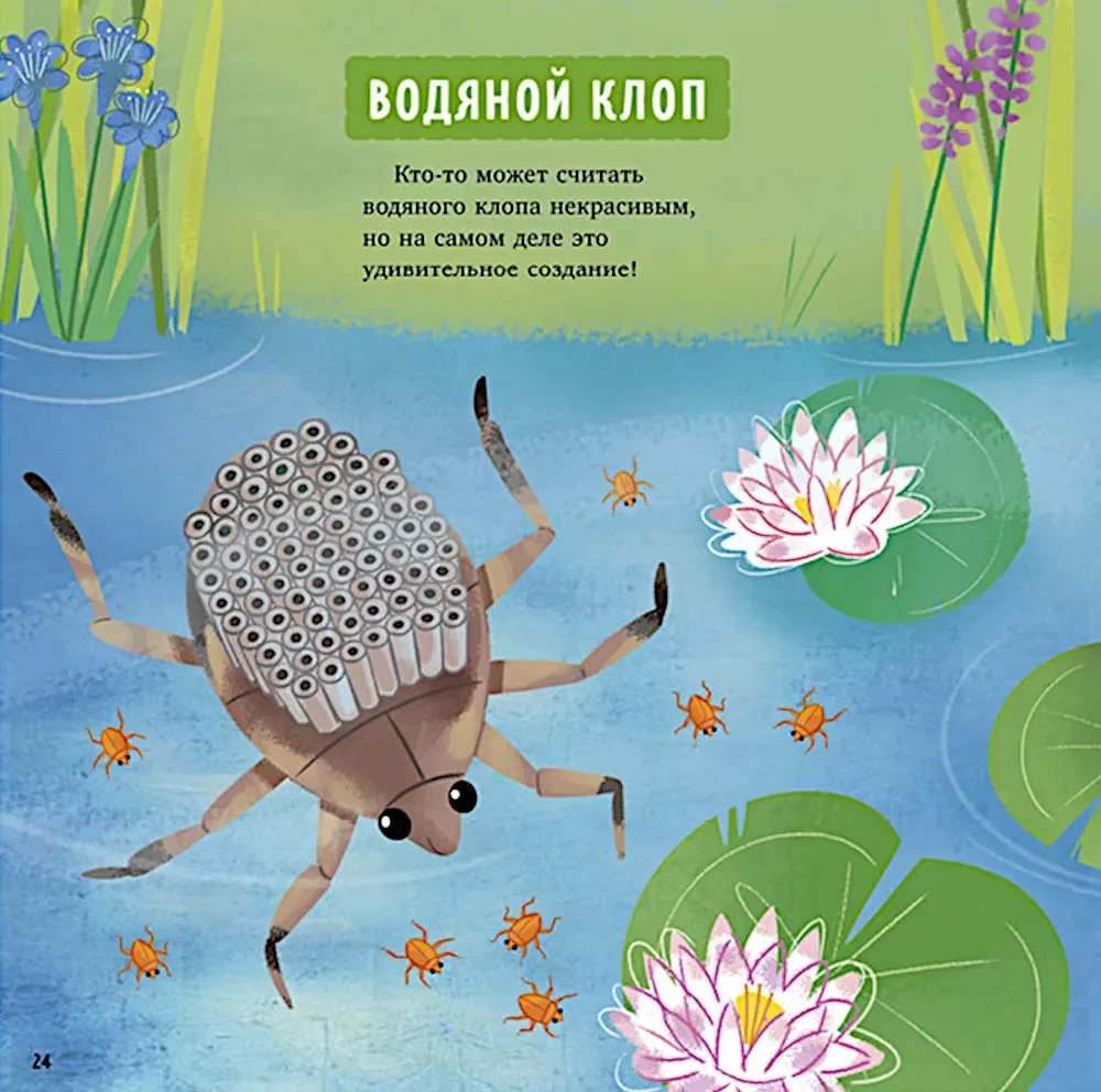 Zadziwiające zwierzęta. Mój tata to superbohater!