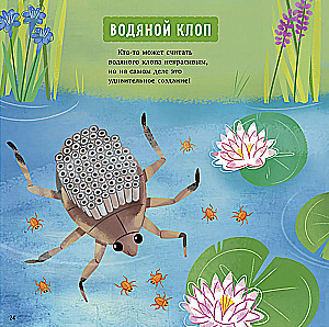 Zadziwiające zwierzęta. Mój tata to superbohater!