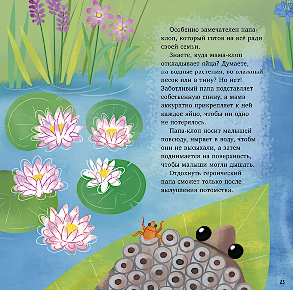 Zadziwiające zwierzęta. Mój tata to superbohater!