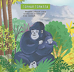 Zadziwiające zwierzęta. Mój tata to superbohater!