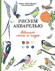 Rysujemy akwarelą. Ptaki lasu i ogrodu