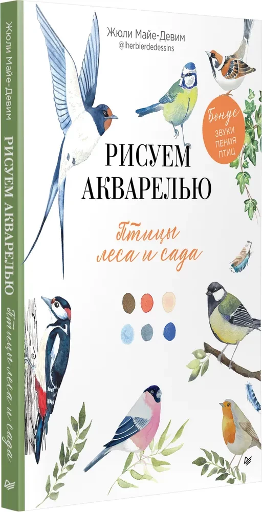Rysujemy akwarelą. Ptaki lasu i ogrodu