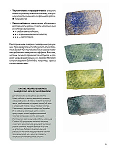 Rysujemy akwarelą. Ptaki lasu i ogrodu