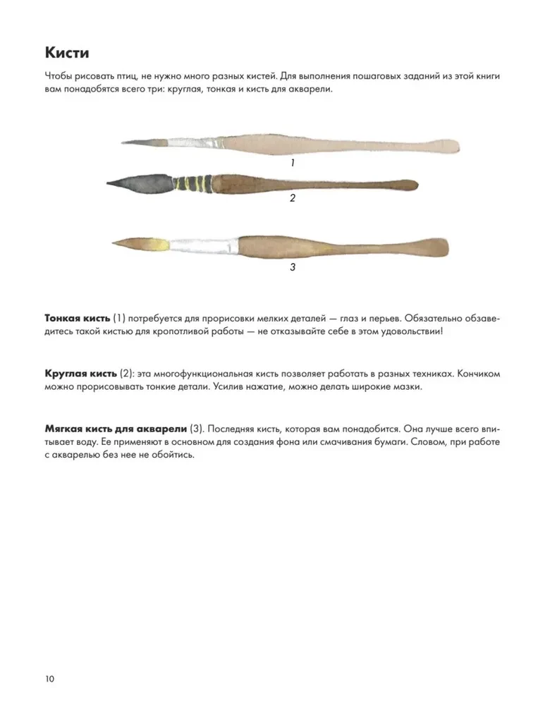 Rysujemy akwarelą. Ptaki lasu i ogrodu