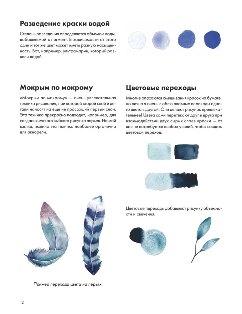 Rysujemy akwarelą. Ptaki lasu i ogrodu