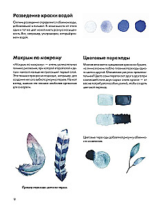 Rysujemy akwarelą. Ptaki lasu i ogrodu