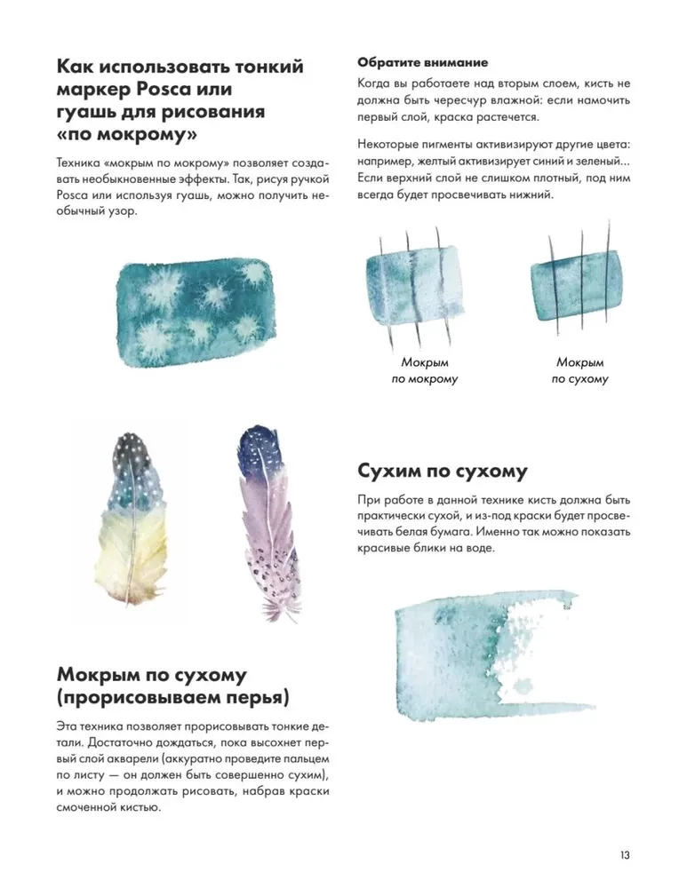 Rysujemy akwarelą. Ptaki lasu i ogrodu