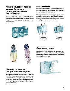 Rysujemy akwarelą. Ptaki lasu i ogrodu