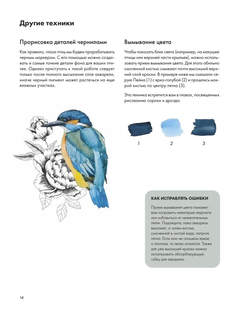 Rysujemy akwarelą. Ptaki lasu i ogrodu