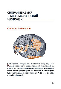 Katzen-Mathematik. Vom Einfachen zum Komplexen anhand von flauschigen Beispielen