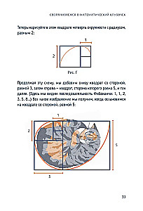 Katzen-Mathematik. Vom Einfachen zum Komplexen anhand von flauschigen Beispielen