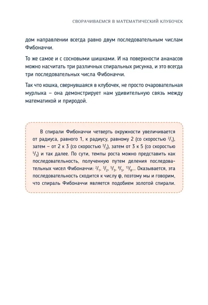 Katzen-Mathematik. Vom Einfachen zum Komplexen anhand von flauschigen Beispielen