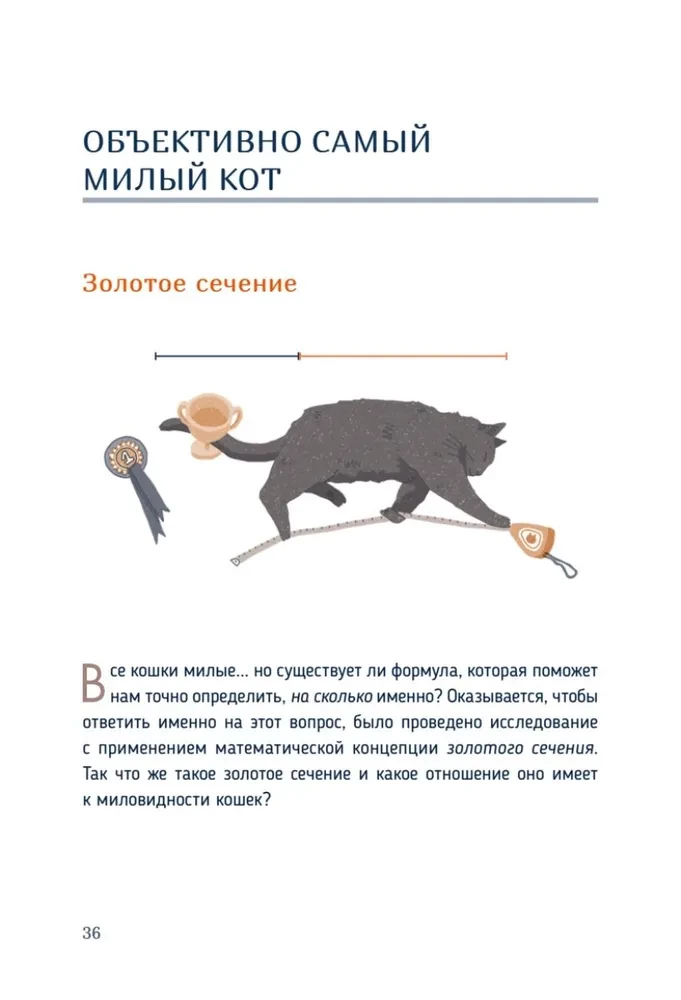 Katzen-Mathematik. Vom Einfachen zum Komplexen anhand von flauschigen Beispielen