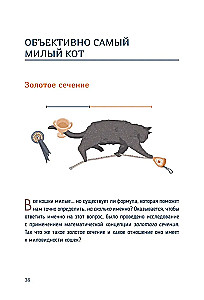 Katzen-Mathematik. Vom Einfachen zum Komplexen anhand von flauschigen Beispielen